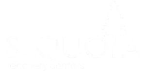 Untitled-design-32-1-1-2048x1028-1 (1) copy